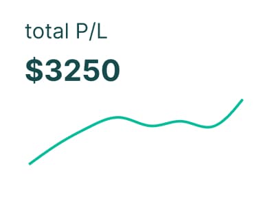 Total Profit and Loss example